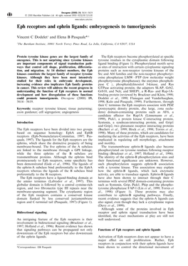 Eph Receptors and Ephrin Ligands: Embryogenesis to Tumorigenesis