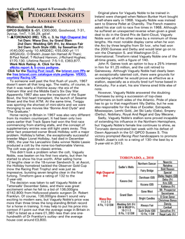 PEDIGREE INSIGHTS Ireland Were Changed When Nelson Bunker Hunt Bought B Y a N D R E W C a U L F I E L D a Half-Share Early in 1968