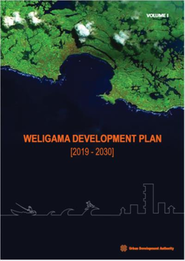 Development Plan