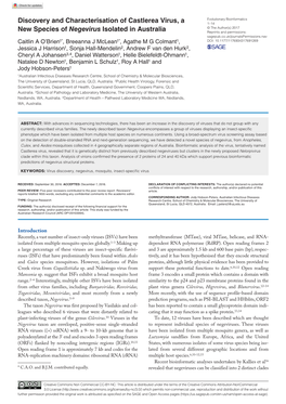 Discovery and Characterisation of Castlerea Virus, a New Species Of