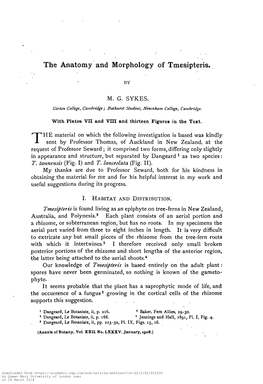 The Anatomy and Morphology of Tmesipteris