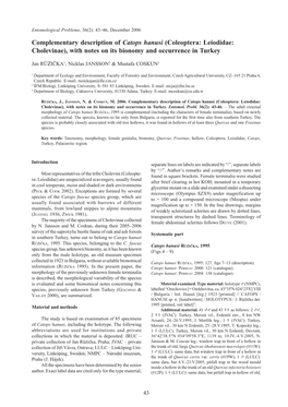 Complementary Description of Catops Hanusi (Coleoptera: Leiodidae: Cholevinae), with Notes on Its Bionomy and Occurrence in Turkey