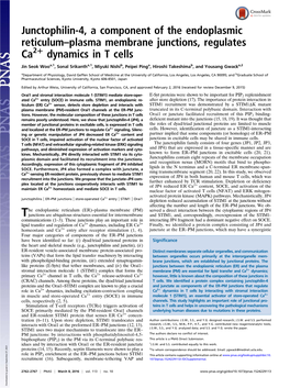 Junctophilin-4, a Component of the Endoplasmic Reticulum–Plasma Membrane Junctions, Regulates + Ca2 Dynamics in T Cells