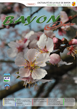 BAYON INFOS N°4 - Avril 2016