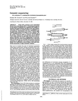 Genomic Sequencing (DNA Methylation/UV Crosslinking/Filter Hybridization/Immunoglobulin Genes) GEORGE M