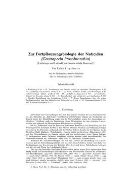 Zur Fortpflanzungsbiologie Der Naticiden 95