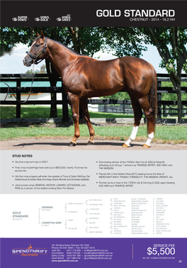 Stallion Brochure