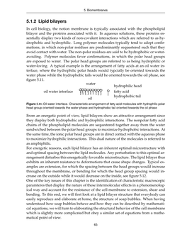 5.1.2 Lipid Bilayers in Cell Biology, the Notion Membrane Is Typically Associated with the Phospholipid Bilayer and the Proteins Associated with It