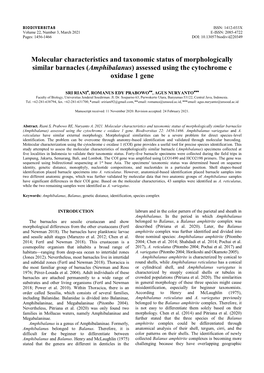 Molecular Characteristics and Taxonomic Status of Morphologically Similar Barnacles (Amphibalanus) Assessed Using the Cytochrome C Oxidase 1 Gene