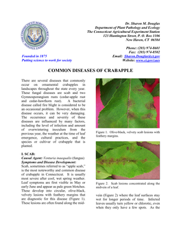 Common Diseases of Crabapple