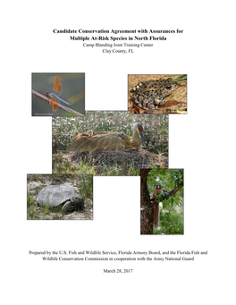 Camp Blanding Multiple At-Risk Species: Candidate Conservation