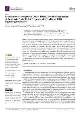 Pseudomonas Aeruginosa Dnak Stimulates the Production of Pentraxin 3 Via TLR4-Dependent NF-B and ERK Signaling Pathways