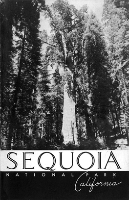 Sequoia NATIONAL PARK