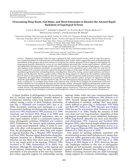 Overcoming Deep Roots, Fast Rates, and Short Internodes to Resolve the Ancient Rapid Radiation of Eupolypod II Ferns