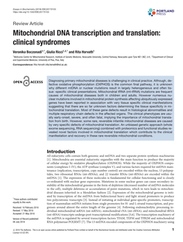 Mitochondrial DNA Transcription and Translation: Clinical Syndromes