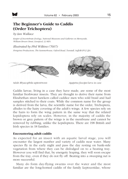 The Beginner's Guide to Caddis (Order Trichoptera)