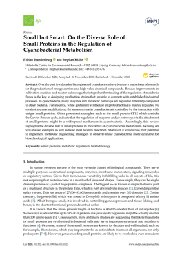 On the Diverse Role of Small Proteins in the Regulation of Cyanobacterial Metabolism