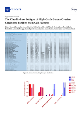 The Claudin-Low Subtype of High-Grade Serous Ovarian Carcinoma Exhibits Stem Cell Features