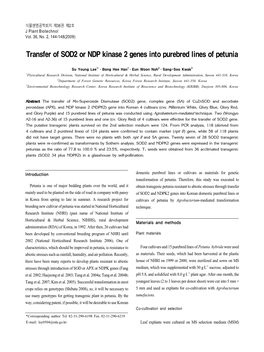 Transfer of SOD2 Or NDP Kinase 2 Genes Into Purebred Lines of Petunia