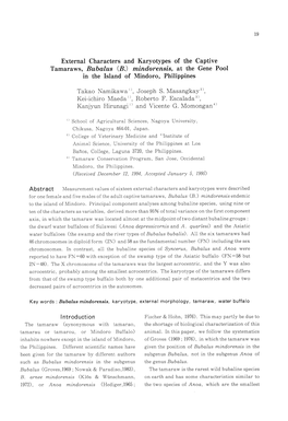 External Characters and Karyotypes of the Captive Tamaraws, Bubalus (B.) Mindorensis, at the Gene Pool in the Island of Mindoro, Philippines