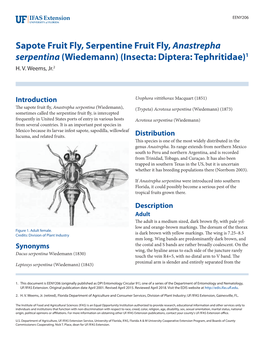 Insecta: Diptera: Tephritidae)1 H