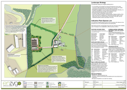 CRM.336.034.L.D.001-Landscape Strategy Plan