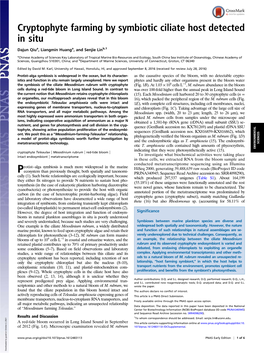 Cryptophyte Farming by Symbiotic Ciliate Host Detected in Situ