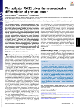 Wnt Activator FOXB2 Drives the Neuroendocrine Differentiation of Prostate Cancer