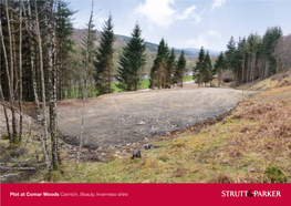 Plot at Comar Woods Cannich, Beauly, Inverness-Shire