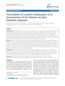 Transcription of a Protein-Coding Gene on B Chromosomes of the Siberian