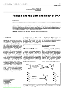 Radicals and the Birth and Death of DNA