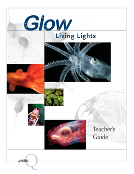 Glow” Work? a Chemistry Activity Concepts • Light Is Energy • Cool Vs