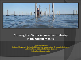 Growing the Oyster Aquaculture Industry in the Gulf of Mexico