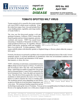 Tomato Spotted Wilt Virus