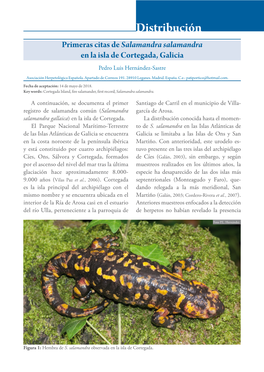 Distribución Primeras Citas De Salamandra Salamandra En La Isla De Cortegada, Galicia Pedro Luis Hernández-Sastre