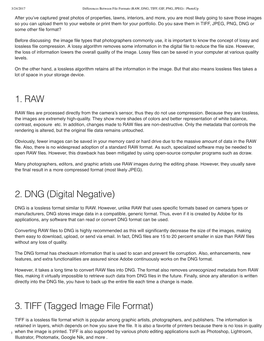 1. RAW 2. DNG (Digital Negative) 3. TIFF (Tagged Image File Format)