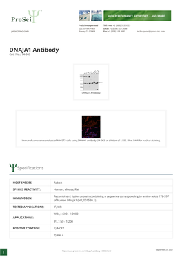 DNAJA1 Antibody Cat