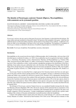 The Identity of Paratrizygia Conformis Tonnoir (Diptera, Mycetophilidae), with Comments on Its Systematic Position