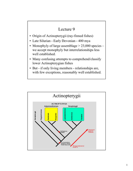 Actinopterygii