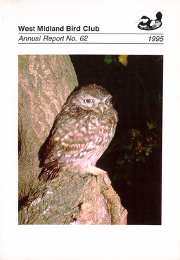West Midland Bird Club Annual Report No. 62 1995 Juvenile Little Owl, Bumtwood, Staffs., June (Phill Ward)