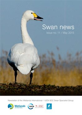 Swan News Issue No