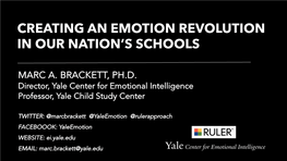 Creating an Emotion Revolution in Our Nation's