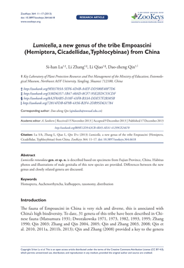 Lumicella, a New Genus of the Tribe Empoascini (Hemiptera, Cicadellidae, Typhlocybinae) from China