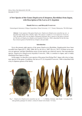 Coleoptera, Byrrhidae) from Japan, with Description of the Larva of S