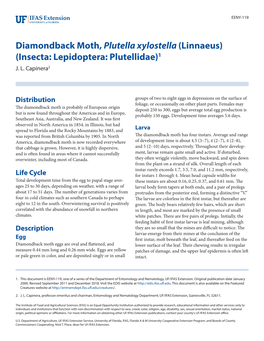 Diamondback Moth, Plutella Xylostella (Linnaeus) (Insecta: Lepidoptera: Plutellidae)1 J