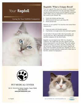 Ragdolls: What a Unique Breed! PET MEDICAL CENTER