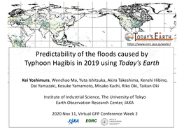 Predictability of the Floods Caused by Typhoon Hagibis in 2019 Using Today's Earth