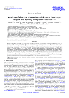 Very Large Telescope Observations of Gomez's Hamburger