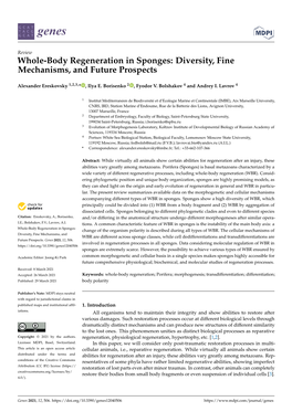 Whole-Body Regeneration in Sponges: Diversity, Fine Mechanisms, and Future Prospects