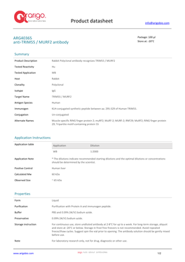 Anti-TRIM55 / MURF2 Antibody (ARG40365)